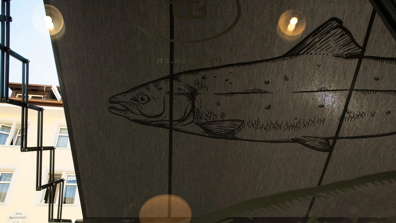 Frisk-Fisk-Trivisano-Winterthur