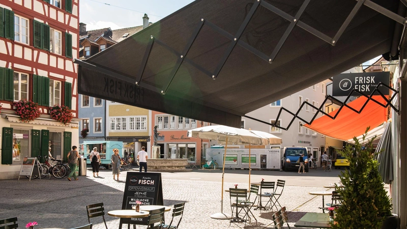 Frisk-Fisk-Winterthur